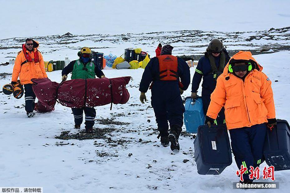 花5000元“認養”一頭黑豬就“返利”？警惕新型網絡傳銷 