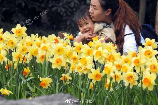 紫禁城：底材粗糙度對防銹漆的性能改善